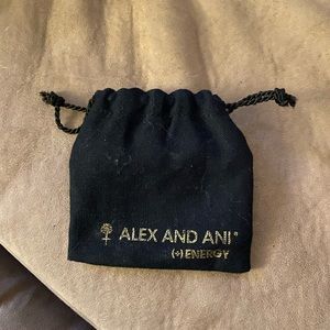 Alex and Ani pouch